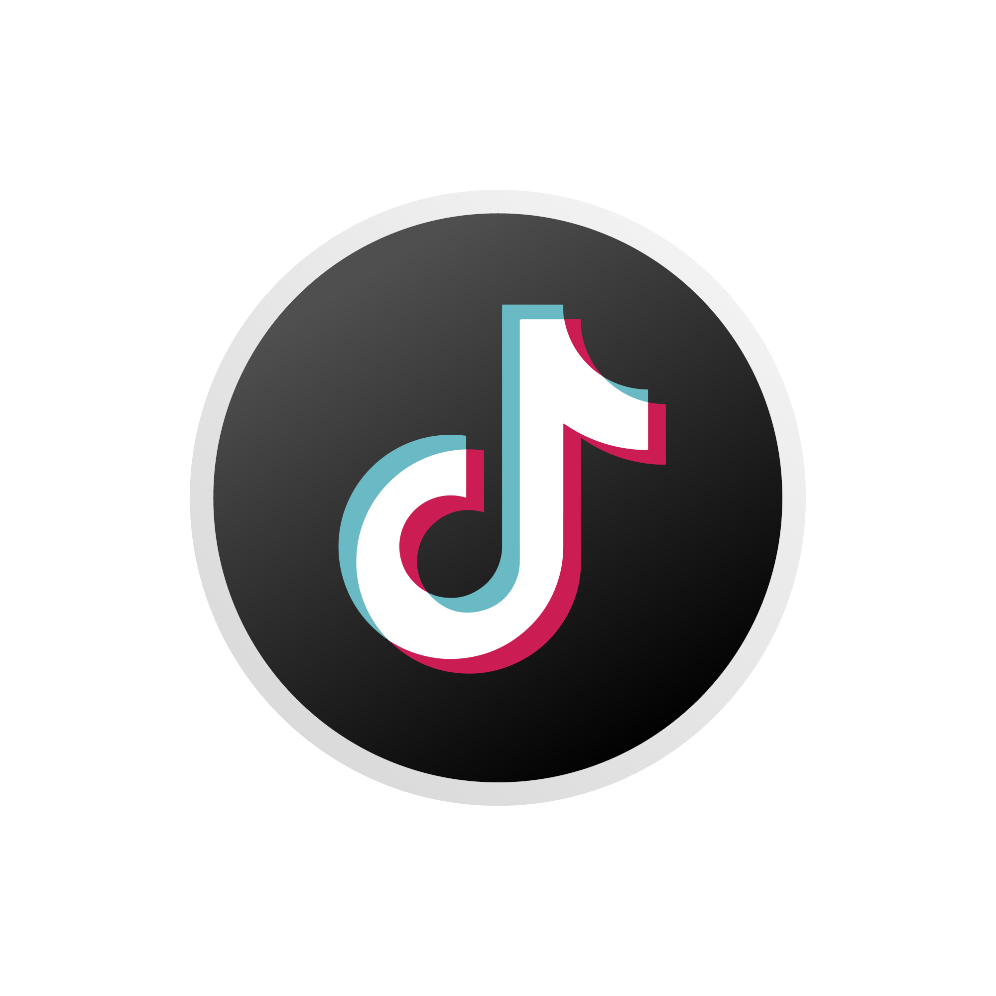 logo tik tok